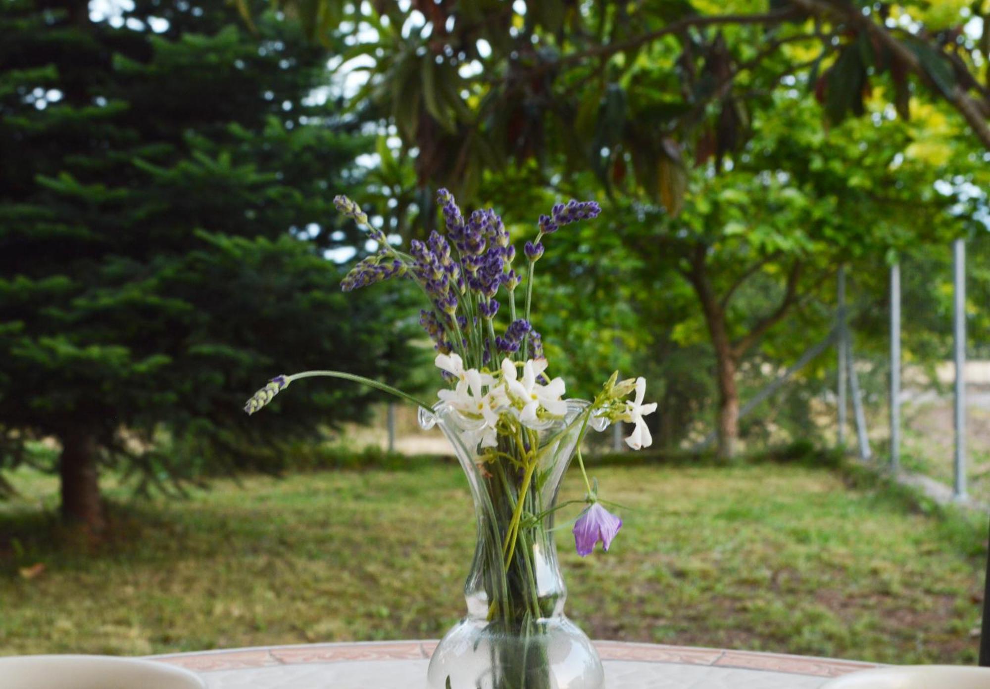 Sunny Retreat With A Garden Terrace Private Room Ioannina Bagian luar foto